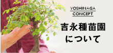 吉永種苗園
について